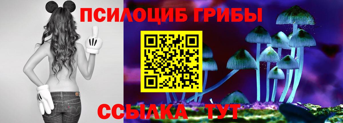 Галлюциногенные грибы Magic Shrooms  хочу наркоту  Кропоткин  Галлюциногенные грибы MAGIC MUSHROOMS 